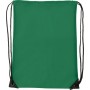 Backpack Bag multipurpose 41x33cm Polyester 210D Evergreen