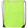 Backpack Bag multipurpose 41x33cm Polyester 210D Evergreen